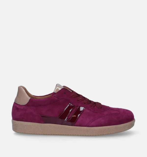 53.300 Aubergine
