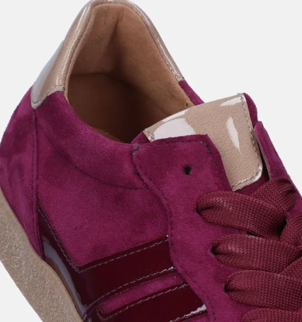 53.300 Aubergine